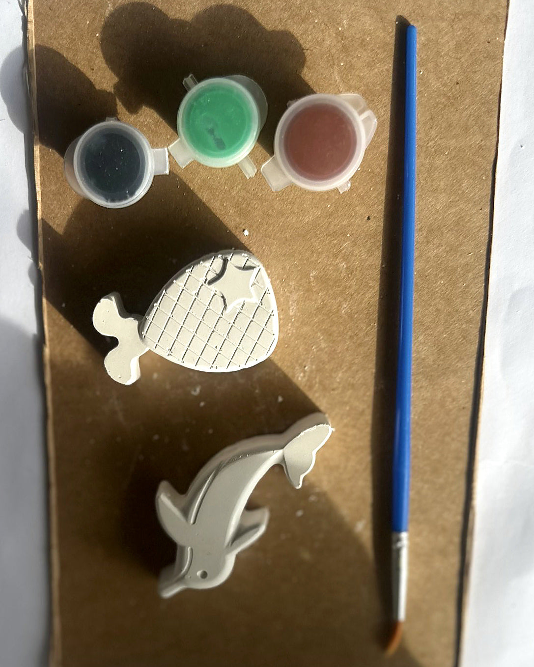 Ocean Explorer – Nael & Co.